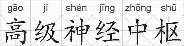 高级神经中枢的拼音
