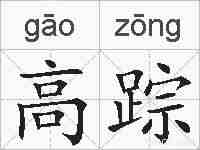 高踪的拼音