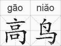 高鸟的拼音