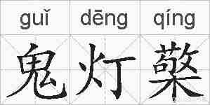 鬼灯檠的拼音