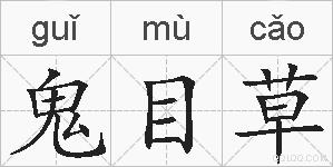 鬼目草的拼音