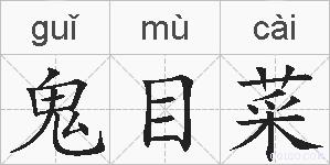 鬼目菜的拼音