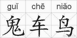 鬼车鸟的拼音