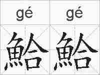 鮯鮯的拼音