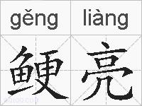 鲠亮的拼音