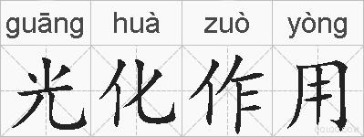 光化作用的拼音