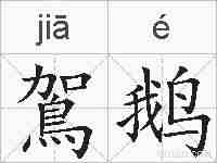 鴐鹅的拼音