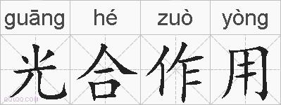 光合作用的拼音