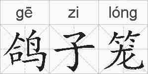 鸽子笼的拼音