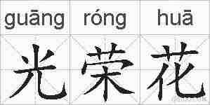 光荣花的拼音