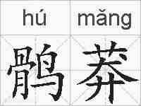 鹘莽的拼音