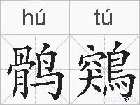 鹘鶟的拼音