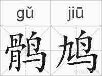 鹘鸠的拼音