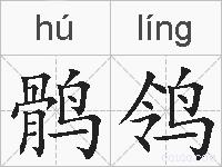 鹘鸰的拼音
