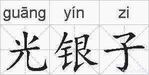光银子的拼音