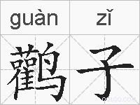 鹳子的拼音