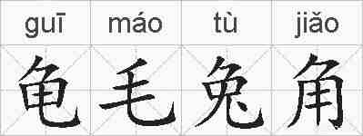 龟毛兔角的拼音