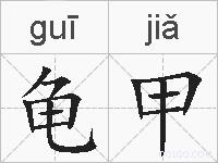 龟甲的拼音