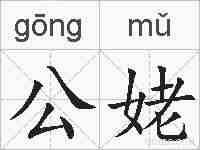 公姥的拼音
