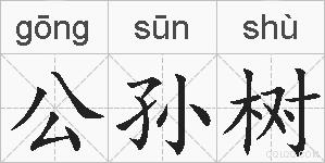 公孙树的拼音