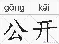 公开的拼音