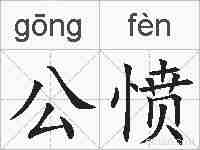 公愤的拼音