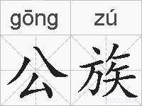 公族的拼音
