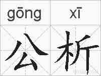 公析的拼音