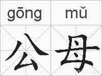 公母的拼音