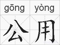 公用的拼音