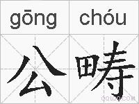 公畴的拼音