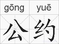 公约的拼音