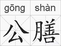 公膳的拼音