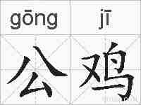 公鸡的拼音