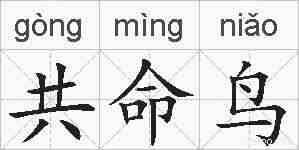 共命鸟的拼音