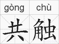 共触的拼音