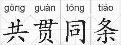 共贯同条的拼音