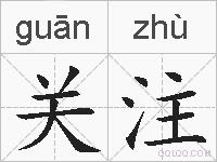 关注的拼音