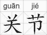 关节的拼音
