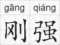 刚强的拼音