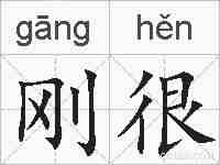 刚很的拼音