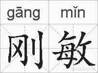 刚敏的拼音