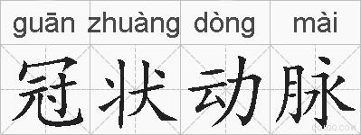 冠状动脉的拼音