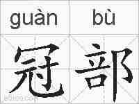 冠部的拼音