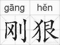 刚狠的拼音