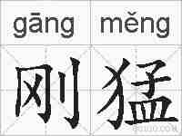 刚猛的拼音