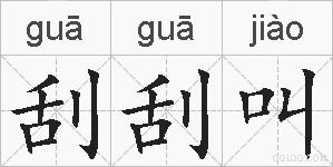 刮刮叫的拼音