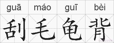 刮毛龟背的拼音