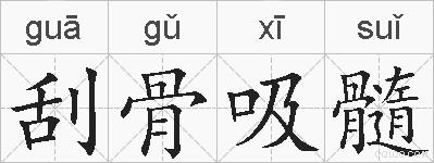 刮骨吸髓的拼音