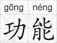功能的拼音